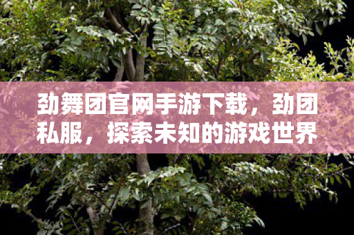 劲舞团官网手游下载，劲团私服，探索未知的游戏世界