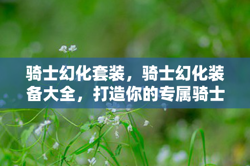 骑士幻化套装,骑士幻化装备大全,打造你的专属骑士风采 骑士幻化套装,骑士幻化装备大全,打造你的专属骑士风采