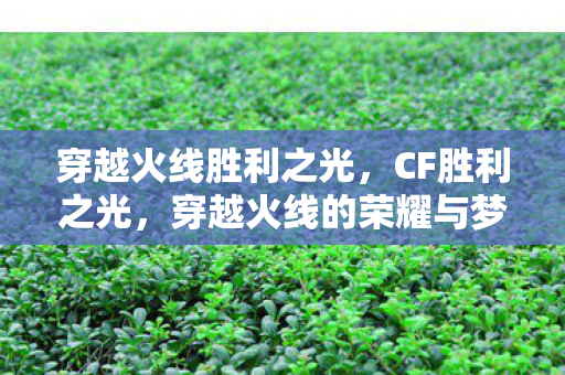 穿越火线胜利之光,CF胜利之光,穿越火线的荣耀与梦想 穿越火线胜利之光,CF胜利之光,穿越火线的荣耀与梦想