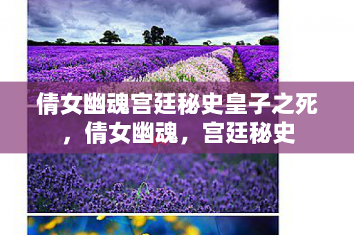 倩女幽魂宫廷秘史皇子之死,倩女幽魂,宫廷秘史 倩女幽魂宫廷秘史皇子之死,倩女幽魂,宫廷秘史