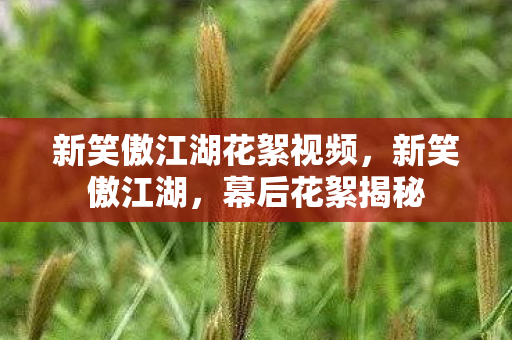 新笑傲江湖花絮视频，新笑傲江湖，幕后花絮揭秘