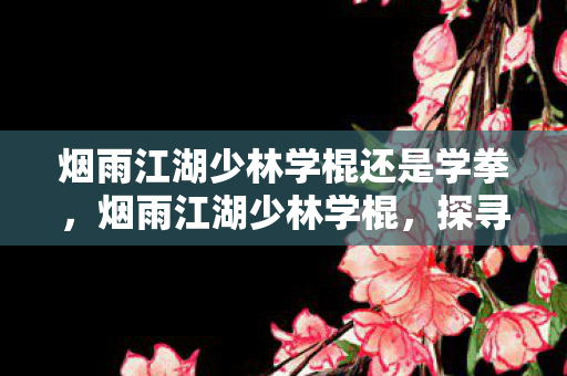 烟雨江湖少林学棍还是学拳，烟雨江湖少林学棍，探寻古刹深处的武学奥秘