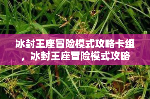 冰封王座冒险模式攻略卡组,冰封王座冒险模式攻略 冰封王座冒险模式攻略卡组,冰封王座冒险模式攻略