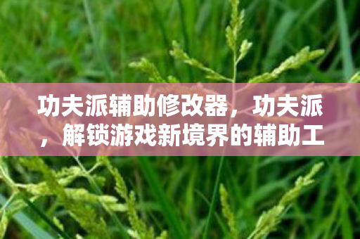 功夫派辅助修改器,功夫派,解锁游戏新境界的辅助工具 功夫派辅助修改器,功夫派,解锁游戏新境界的辅助工具