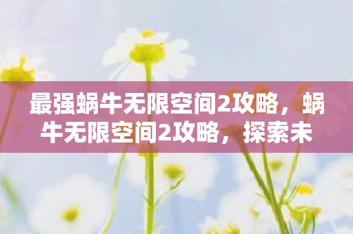 最强蜗牛无限空间2攻略,蜗牛无限空间2攻略,探索未知,解锁无限可能 最强蜗牛无限空间2攻略,蜗牛无限空间2攻略,探索未知,解锁无限可能