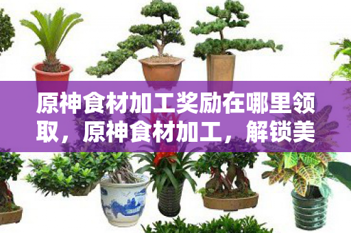 原神食材加工奖励在哪里领取，原神食材加工，解锁美味料理的奥秘