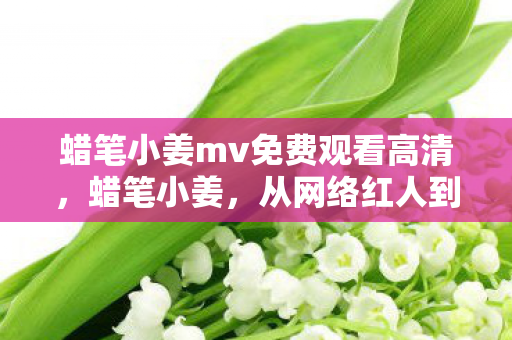 蜡笔小姜mv免费观看高清,蜡笔小姜,从网络红人到公益大使的暖心之旅 蜡笔小姜mv免费观看高清,蜡笔小姜,从网络红人到公益大使的暖心之旅