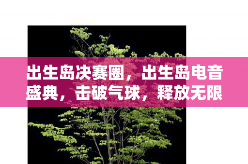 出生岛决赛圈,出生岛电音盛典,击破气球,释放无限可能 出生岛决赛圈,出生岛电音盛典,击破气球,释放无限可能