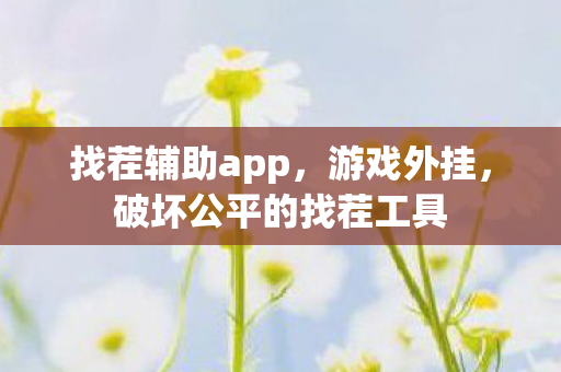 找茬辅助app，游戏外挂，破坏公平的找茬工具