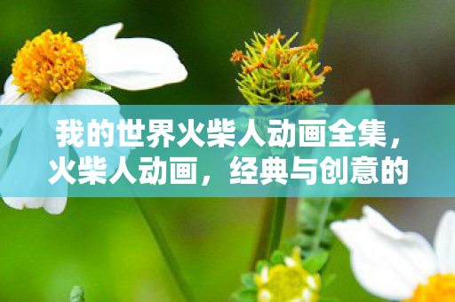 我的世界火柴人动画全集，火柴人动画，经典与创意的碰撞