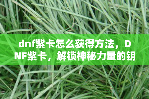 dnf紫卡怎么获得方法，DNF紫卡，解锁神秘力量的钥匙