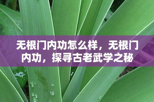 无根门内功怎么样,无根门内功,探寻古老武学之秘 无根门内功怎么样,无根门内功,探寻古老武学之秘