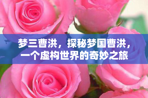 梦三曹洪，探秘梦国曹洪，一个虚构世界的奇妙之旅