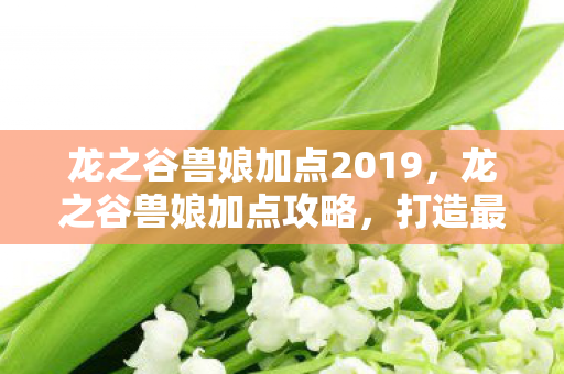 龙之谷兽娘加点2019,龙之谷兽娘加点攻略,打造最强战斗伙伴 龙之谷兽娘加点2019,龙之谷兽娘加点攻略,打造最强战斗伙伴