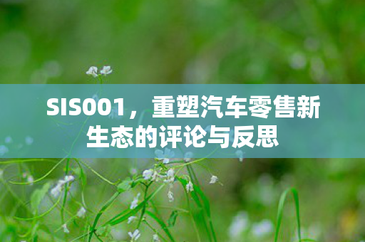 SIS001，重塑汽车零售新生态的评论与反思