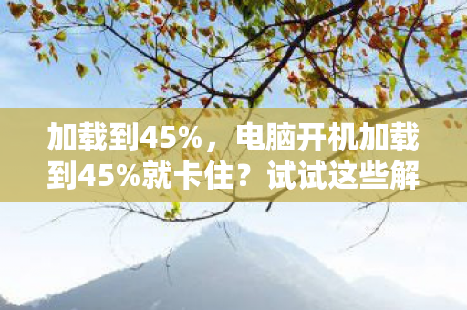 加载到45%，电脑开机加载到45%就卡住？试试这些解决方法！