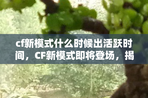 cf新模式什么时候出活跃时间，CF新模式即将登场，揭秘最新更新计划与玩家期待