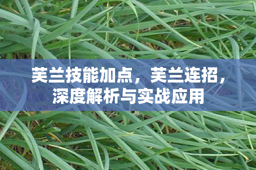 芙兰技能加点,芙兰连招,深度解析与实战应用 芙兰技能加点,芙兰连招,深度解析与实战应用