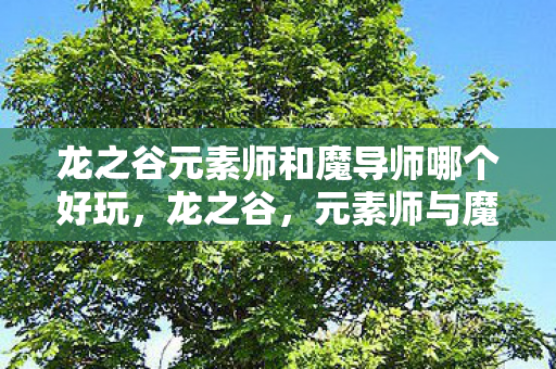 龙之谷元素师和魔导师哪个好玩,龙之谷,元素师与魔导师,谁才是你的魔法首选? 龙之谷元素师和魔导师哪个好玩,龙之谷,元素师与魔导师,谁才是你的魔法首选?