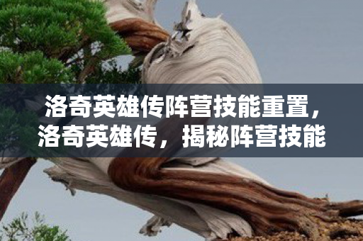 洛奇英雄传阵营技能重置，洛奇英雄传，揭秘阵营技能，打造你的专属战斗风格