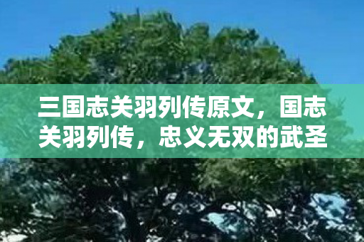 三国志关羽列传原文，国志关羽列传，忠义无双的武圣传奇
