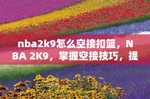 nba2k9怎么空接扣篮，NBA 2K9，掌握空接技巧，提升你的篮球游戏技巧