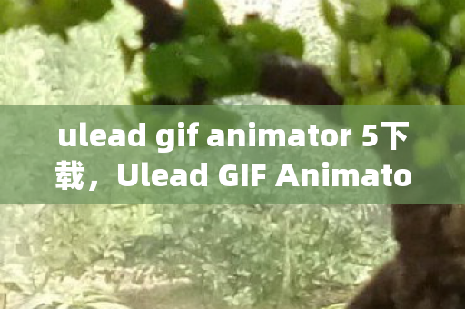 ulead gif animator 5下载，Ulead GIF Animator 5中文版，打造动态GIF的利器