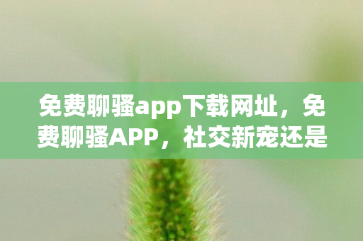免费聊骚app下载网址,免费聊骚APP,社交新宠还是隐私陷阱? 免费聊骚app下载网址,免费聊骚APP,社交新宠还是隐私陷阱?