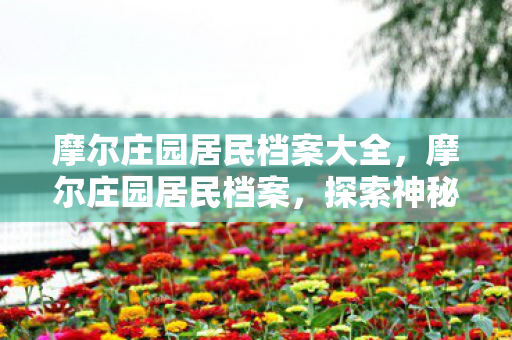 摩尔庄园居民档案大全，摩尔庄园居民档案，探索神秘小镇的奇妙居民