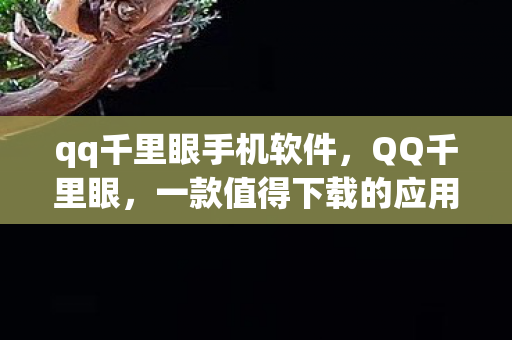 qq千里眼手机软件，QQ千里眼，一款值得下载的应用