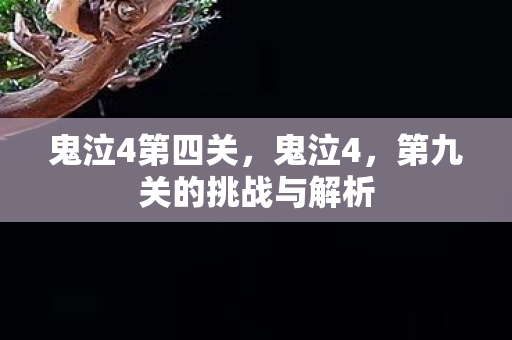 鬼泣4第四关，鬼泣4，第九关的挑战与解析