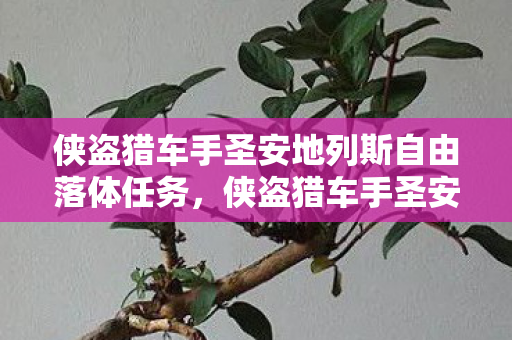 侠盗猎车手圣安地列斯自由落体任务,侠盗猎车手圣安地列斯,自由落体的冒险 侠盗猎车手圣安地列斯自由落体任务,侠盗猎车手圣安地列斯,自由落体的冒险