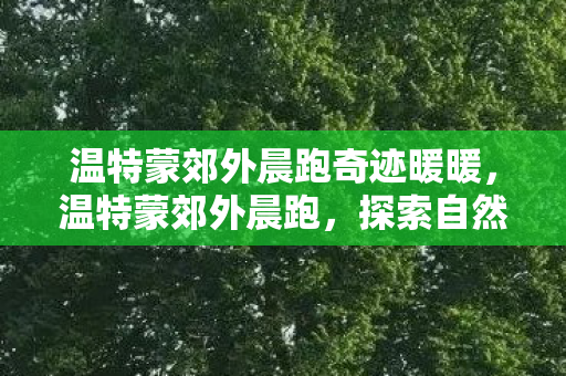 温特蒙郊外晨跑奇迹暖暖,温特蒙郊外晨跑,探索自然与心灵的宁静之旅 温特蒙郊外晨跑奇迹暖暖,温特蒙郊外晨跑,探索自然与心灵的宁静之旅