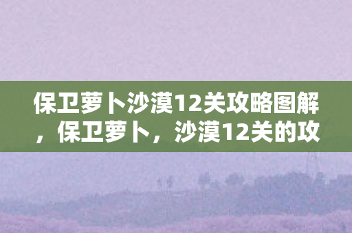 保卫萝卜沙漠12关攻略图解,保卫萝卜,沙漠12关的攻略与心得 保卫萝卜沙漠12关攻略图解,保卫萝卜,沙漠12关的攻略与心得
