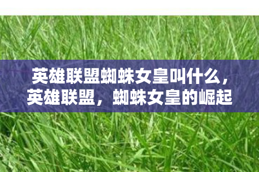 英雄联盟蜘蛛女皇叫什么,英雄联盟,蜘蛛女皇的崛起与战术解析 英雄联盟蜘蛛女皇叫什么,英雄联盟,蜘蛛女皇的崛起与战术解析