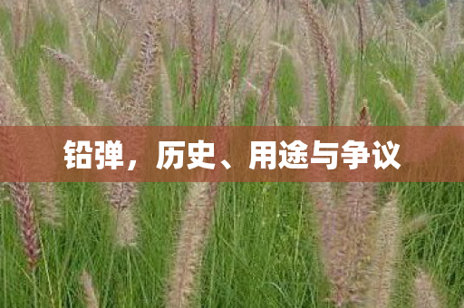 铅弹,历史、用途与争议 铅弹,历史、用途与争议