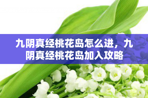 九阴真经桃花岛怎么进，九阴真经桃花岛加入攻略