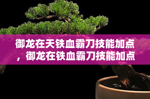 御龙在天铁血霸刀技能加点，御龙在铁血霸刀技能加点攻略