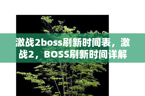 激战2boss刷新时间表，激战2，BOSS刷新时间详解