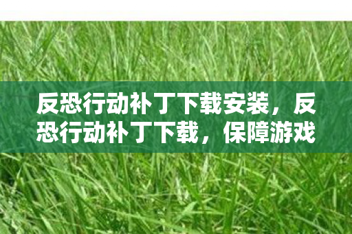 反恐行动补丁下载安装，反恐行动补丁下载，保障游戏安全与平衡的关键