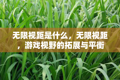 无限视距是什么,无限视距,游戏视野的拓展与平衡 无限视距是什么,无限视距,游戏视野的拓展与平衡