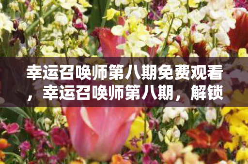 幸运召唤师第八期免费观看，幸运召唤师第八期，解锁你的游戏新纪元