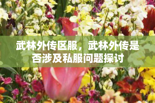 武林外传区服,武林外传是否涉及私服问题探讨 武林外传区服,武林外传是否涉及私服问题探讨