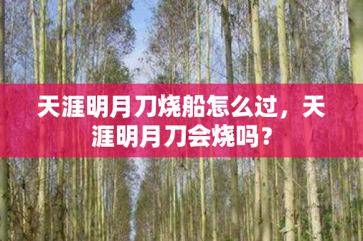 天涯明月刀烧船怎么过,天涯明月刀会烧吗? 天涯明月刀烧船怎么过,天涯明月刀会烧吗?