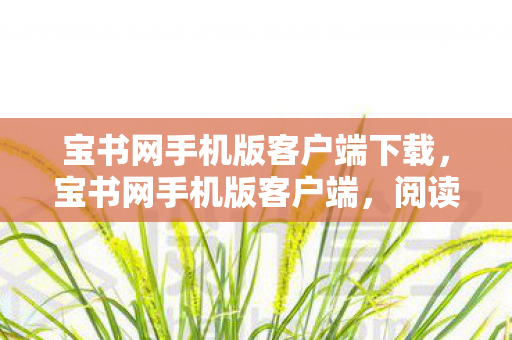 宝书网手机版客户端下载,宝书网手机版客户端,阅读电子书的便捷新选择 宝书网手机版客户端下载,宝书网手机版客户端,阅读电子书的便捷新选择