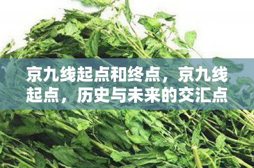 京九线起点和终点,京九线起点,历史与未来的交汇点 京九线起点和终点,京九线起点,历史与未来的交汇点
