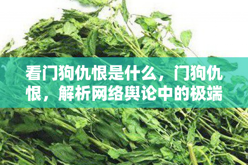 看门狗仇恨是什么,门狗仇恨,解析网络舆论中的极端情绪 看门狗仇恨是什么,门狗仇恨,解析网络舆论中的极端情绪