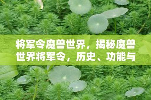 将军令魔兽世界,揭秘魔兽世界将军令,历史、功能与影响 将军令魔兽世界,揭秘魔兽世界将军令,历史、功能与影响