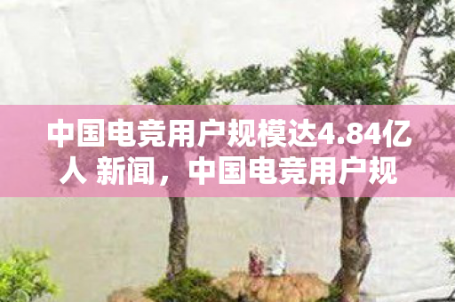 中国电竞用户规模达4.84亿人 新闻，中国电竞用户规模达4.84亿人，探索电竞行业的崛起与未来