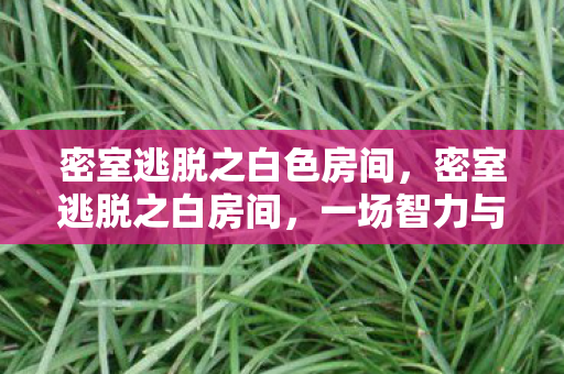 密室逃脱之白色房间，密室逃脱之白房间，一场智力与勇气的较量